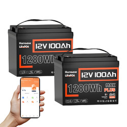 Humsienk 24V 12V 100Ah LiFePO4 Akku Bluetooth Lithium Batterie BMS 110A Boot RV