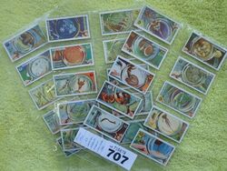 Typhoo Tee 1925 Common Objects hoch vergrößertes Komplettset 25 Teekarten KATZE £ 40