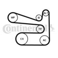 CONTINENTAL CTAM Keilrippenriemensatz 6PK1693K1 für SKODA AUDI SEAT VW YETI A3 5