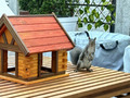 Eichhörnchenhaus  Futterstation für Eichhörnchen Garten Wetterfest
