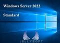 Microsoft Windows Server 2022 Standard ✔ 16 Core ✔ 100 % Original ✔ NEU ✔