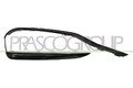 PRASCO Zier-/Schutzleiste, Stoßfänger Links, Vorne für BMW