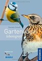 Gartenvögel lebensgroß von Strauß, Daniela | Buch | Zustand gut