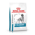 Royal Canin Anallergenic 8 kg | Hunde | Nährstoffintoleranz | Allergie