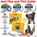 Anti Flea And Tick Collar For Large Dogs Puppy 8 Month waterproof Adjustable