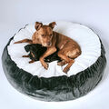 Flauschige Wohlfühl- Hundehöhle mit abnehmbarer Decke