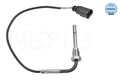 MEYLE Sensor Abgastemperatur 114 800 0080 für AUDI C6 EXEO A6 ST SEAT 4F2 Avant