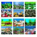 Aquarium Fischtank Hintergrund Hintergrund Poster - 2 bis 10 Fuß Länge 60 cm hoch