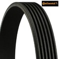 Continental CTAM 6PK1240ELAST Keilrippenriemen Keilriemen für Ford 