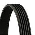 ContiTech 6PK2245 Keilrippenriemen für FORD MAZDA MERCEDES BENZ SSANGYONG LEXUS