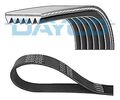 DAYCO 6PK1550S Keilrippenriemen für VW