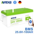 25.6V 100Ah 2.56Kwh LiFePO4 Batterie 24V Bluetooth-Überwachung BMS >6000 Zyklen