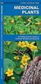 Heilpflanzen: Eine faltbare Taschenführung T-1583551905, Broschüre, James Kavanagh