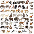 Schleich® WILD LIFE Safari Dschungel Steppe Savanne Meer Tiere inkl. Neuheiten 
