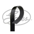 ORIGINAL® Gates Keilrippenriemen für Volvo 8500 9700 9900 B12 FMX II FM III FM