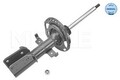 MEYLE 16-26 623 0022 Stoßdämpfer für RENAULT