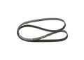 1 987 945 704 BOSCH Keilrippenriemen für BMW,CHRYSLER,DACIA,DODGE,FIAT,HYUNDAI,K