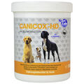 Canicox HD 140 Kautabletten von NutriLabs für beanspruchte Hundegelenke