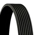 CONTINENTAL CTAM 8PK1515 Keilrippenriemen