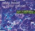 While the earth sleeps (with Peter Gabriel, 'Strang... | CD | Zustand Gut