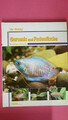 240799 Jürgen Schmidt IHR HOBBY ; GURAMIS UND FADENFISCHE ; ISBN 393179248x HC