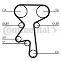 Continental ContiTech CT924WP1 Wasserpumpe + Zahnriemensatz für OPEL ANTARA