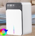 Elektrischer Luftentfeuchter Dehumidifier Raumentfeuchter Entfeuchter Bautrockne