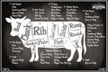 Blechschild 20x30 Butchers Selection Beef Cuts Organic Free Range Metzger Auswah