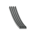 FEBI BILSTEIN 28777 Keilrippenriemen für OPEL Omega B Limousine (V94) 800mm