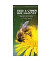 Bees & Other Pollinators: A Folding Pocket Guide to Familiar Species, James Kava