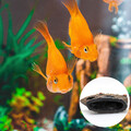Dekoration Aquarium Landschaftsgestaltung Mini-Aquarium-