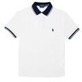 Polo Ralph Lauren Custom Slim Fit Tipped Mesh Polo Shirt White / Antique Green