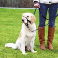 Halti Headlar Non Pull Hundekopf Halsband für Training Verstellbares Hundehalter
