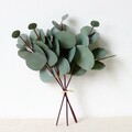  4 Pcs Eukalyptus Baum Künstlich Künstliche Zweige Eukalyptusblatt