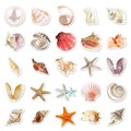 Bad Deko Set SEESTERN 50/100 Aufkleber Muscheln Fliesen Wandtattoo Sticker 4-5CM