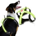 LED Hundegeschirr Atmungsaktiv Brustgeschirr Verstellbar LED-Beleuchtungsmodi