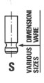 FRECCIA (R6139/R) Auslassventil für NISSAN OPEL RENAULT
