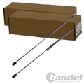 2x NTY GASFEDERN MOTORHAUBEN-LIFTER passend für TOYOTA CAMRY LINKS+RECHTS |