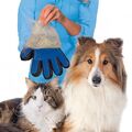 Fellpflege Handschuh Hund Katze Hase Haustier Tierhaar Bürste Massage Rechts