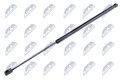 NTY Gasfeder, Koffer-/Laderaum AE-BM-044 für BMW