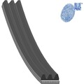 Blue Print AD03R668 Keilrippenriemen für FIAT LANCIA HYUNDAI CHEVROLET