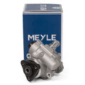 MEYLE 3146310002 Hydraulikpumpe Servopumpe für BMW 3er E36 320-330i ab 10.1995