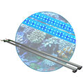Meerwasser Aquarium-LED-Leuchtbalken 30 bis 200cm 2 Leisten  Marine- Corale-Blau