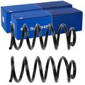 2X SACHS FAHRWERKSFEDERN SATZ HINTEN PASSEND FÜR VW PASSAT LINKS+RECHTS | 996