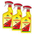 Neudorff Loxiran AF AmeisenSpray 3x 750 ml Ameisengift Spray Ameisen Bekämpfung