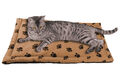 MAXIMEX Multi Tier Decke Hunde Haustier Heim 65x45 cm Unterlage Baumwolle Katzen
