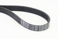 CONTINENTAL CTAM Keilrippenriemen 6PK922 EXTRA für AUDI 4A5 A6 C8 4A2 A7 Avant