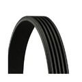 1x Keilrippenriemen CONTINENTAL CTAM 5PK869 passend für SUBARU DAEWOO