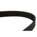 Keilrippenriemen DAYCO 7PK1103