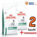 2 Säcke - Royal Canin Dog Veterinary Diets DIABETIC → 12 Kg + Geschenk - Hund